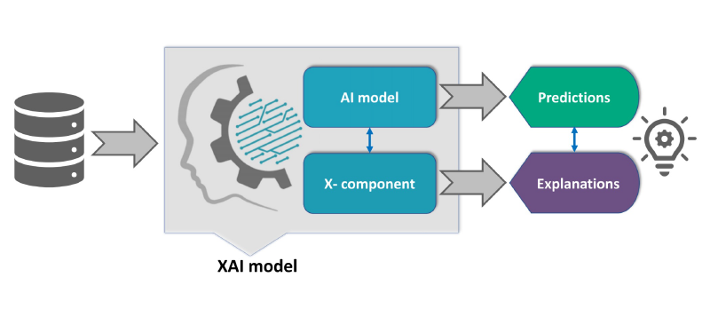 XAI model